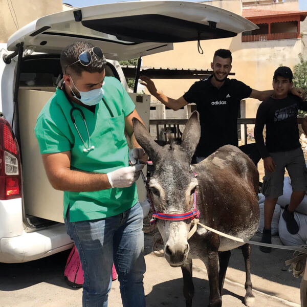 Run Our Mobile Clinics