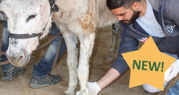Run Our Rescue Centre