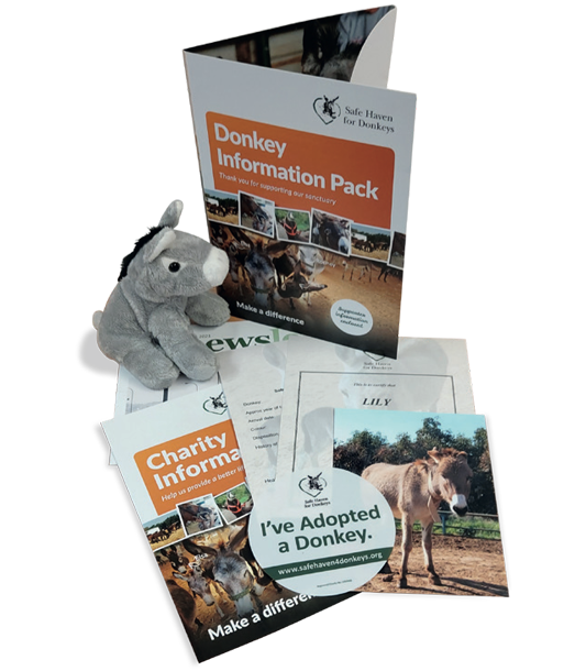 Donkey Adoption Pack