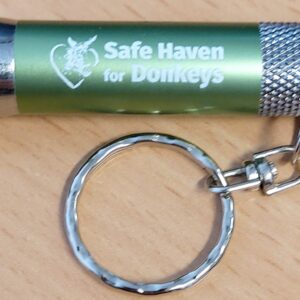 Torch keyring