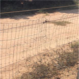 Donkey Fencing Donkey Fencing