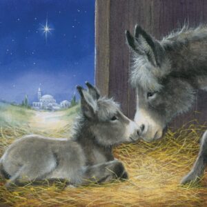 Christmas Cards - Bethlehem Donkeys