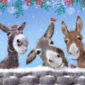 Christmas Cards - Donkeys and Robins