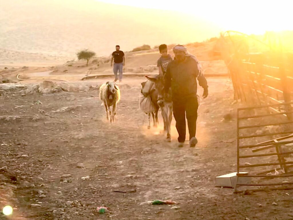 shepherd donkey West Bank