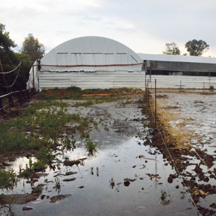 View of the paddock with standing water on it.