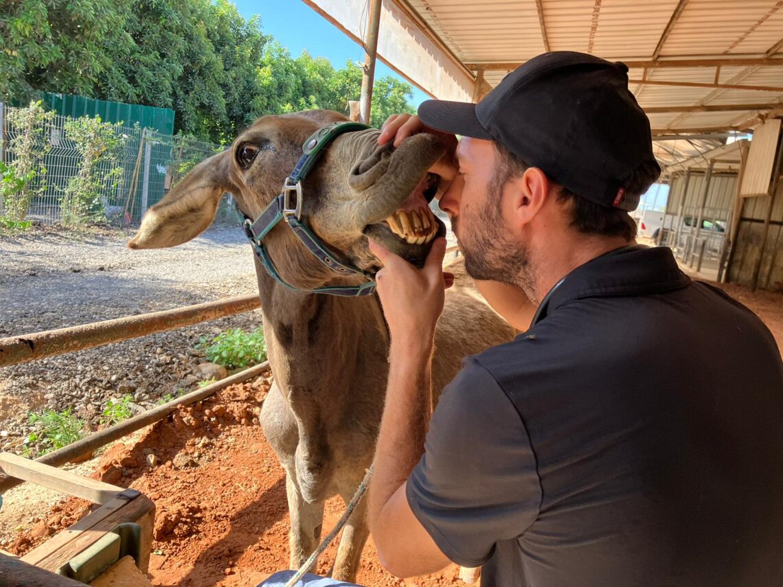 Dr Eliran checking Oliver's teeth