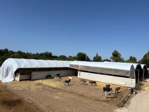 New plastic sheeting being applied to the shelter