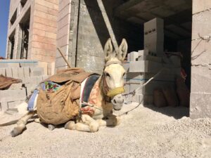Builder donkey
