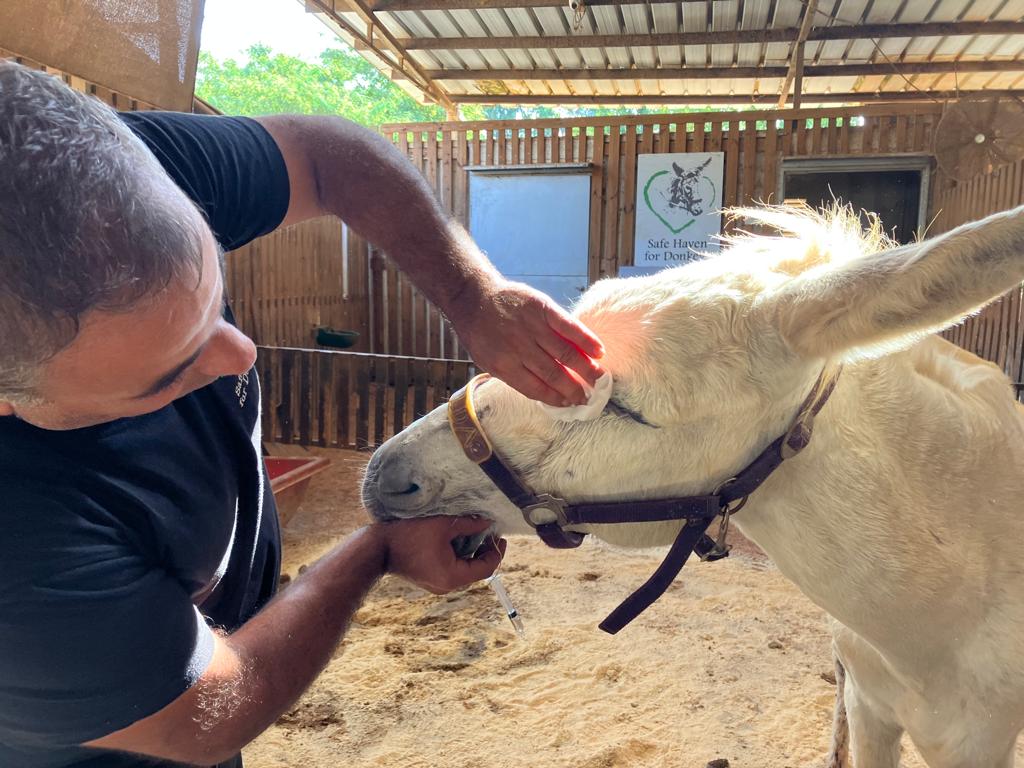 Moussa treating Griselda's eye ulcer