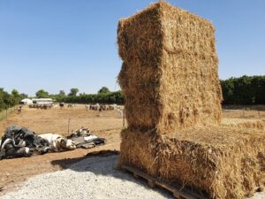 Straw bales being made ready for Winter