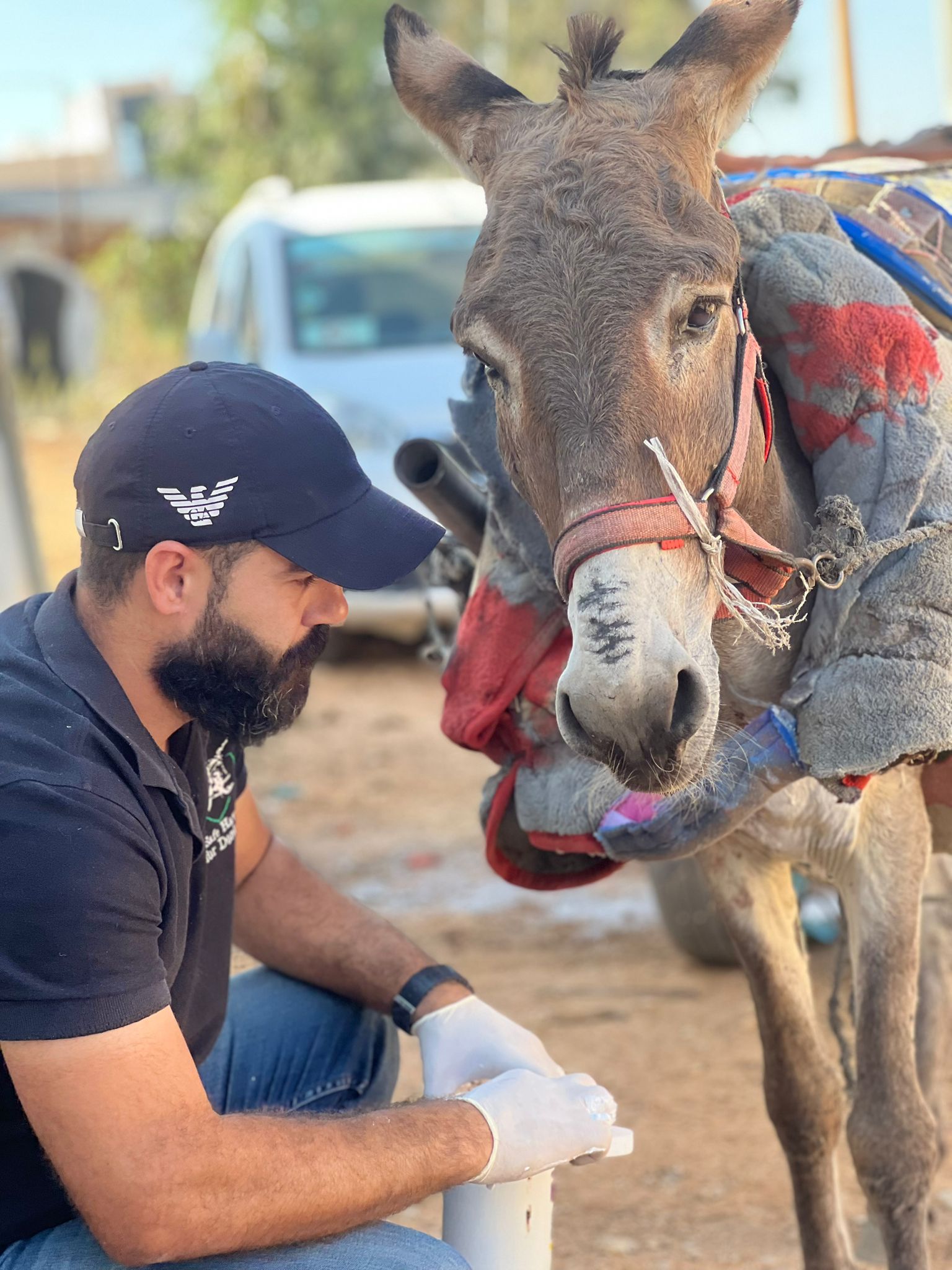 Our donkey update – 2nd November 2023
