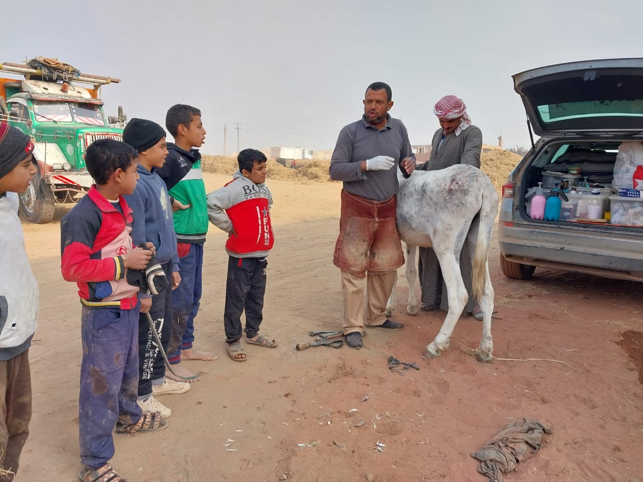 Our donkey update – 25th January 2024
