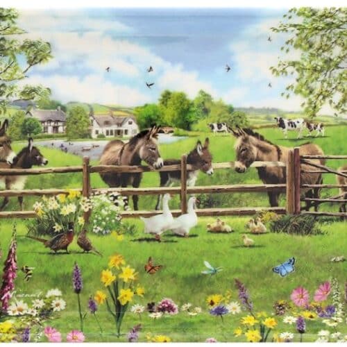 The Donkey Gift Shop - Safe Haven for Donkeys