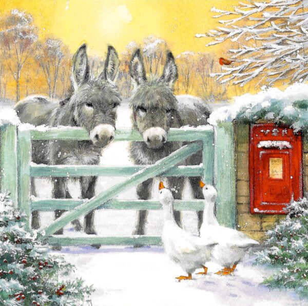 Christmas Cards - Feathers and Fur