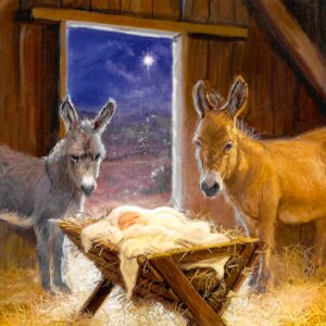 Christmas Cards - In The Stable