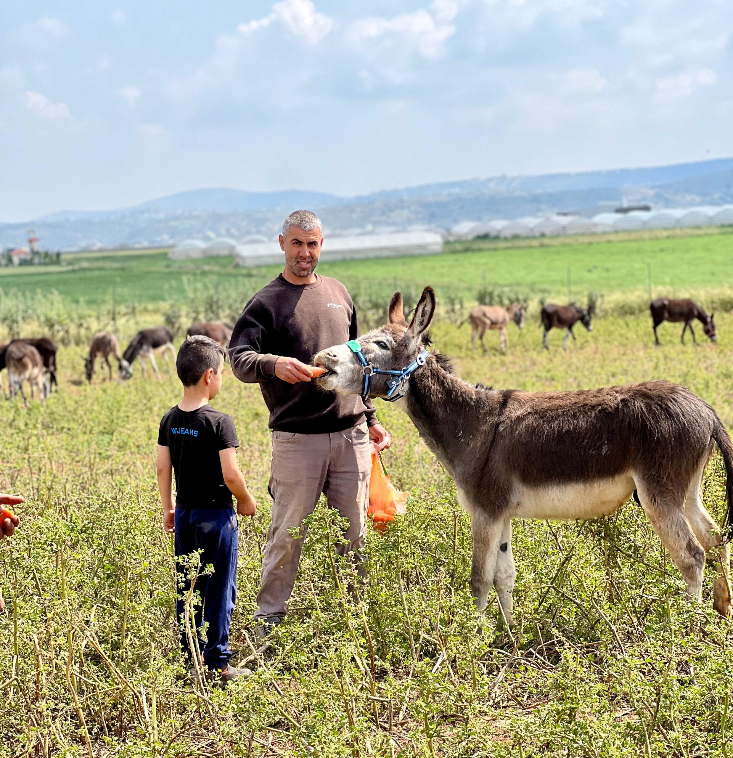 Our donkey update – 18th April 2024