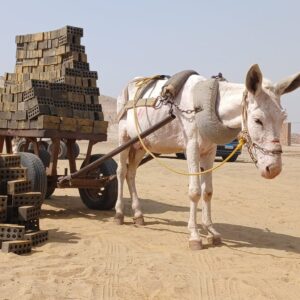 kiln donkey waiting to pull a heavy brick cart