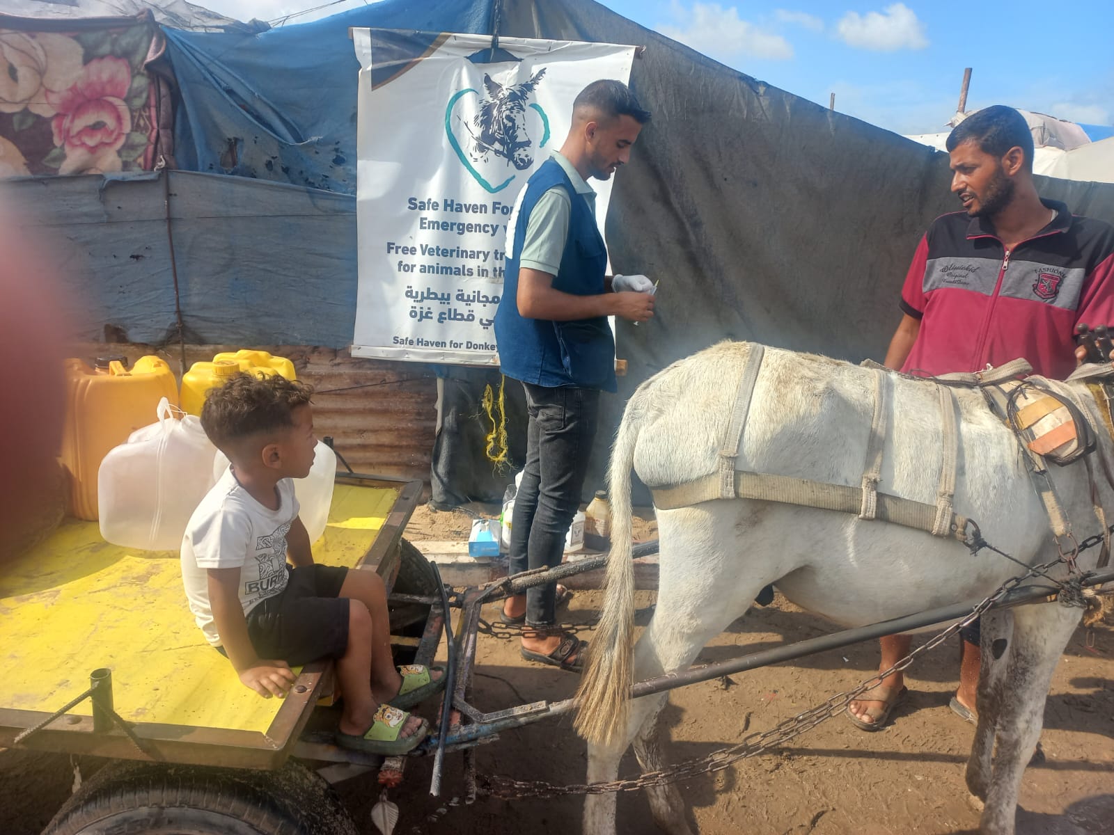 Our donkey update – 3rd October 2024
