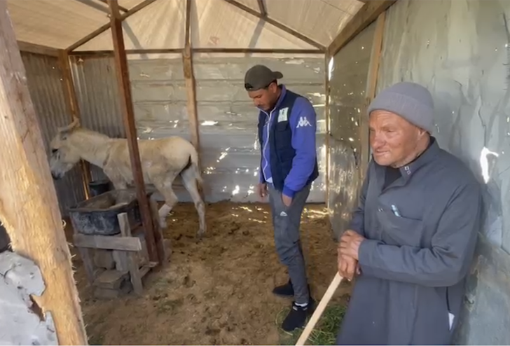 Our donkey update – 27th February 2025