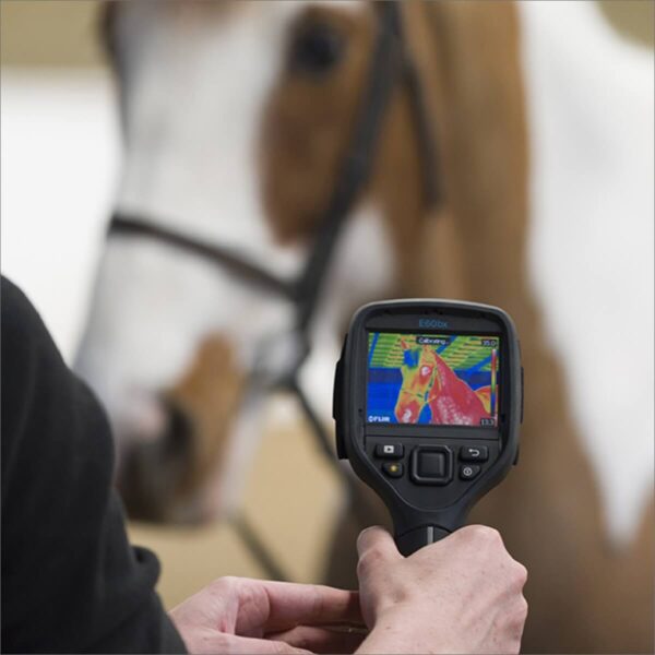 Thermal camera