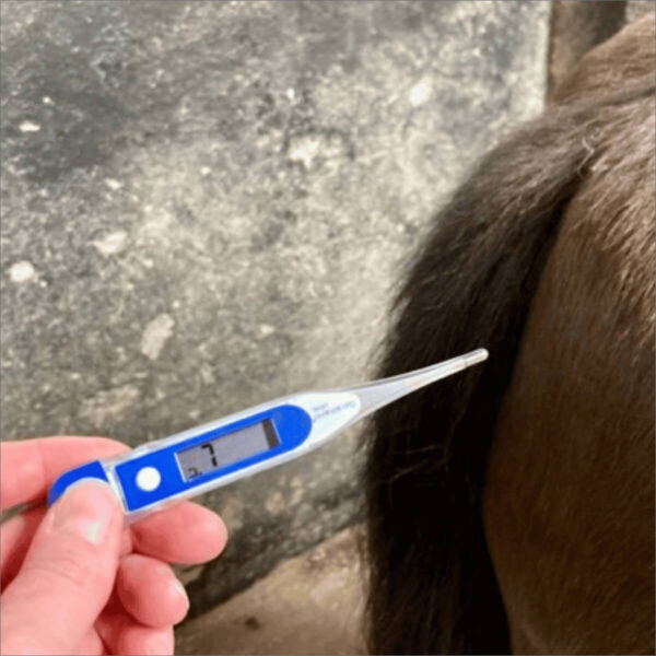 Thermometer