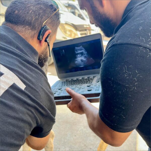 Ultrasound machine