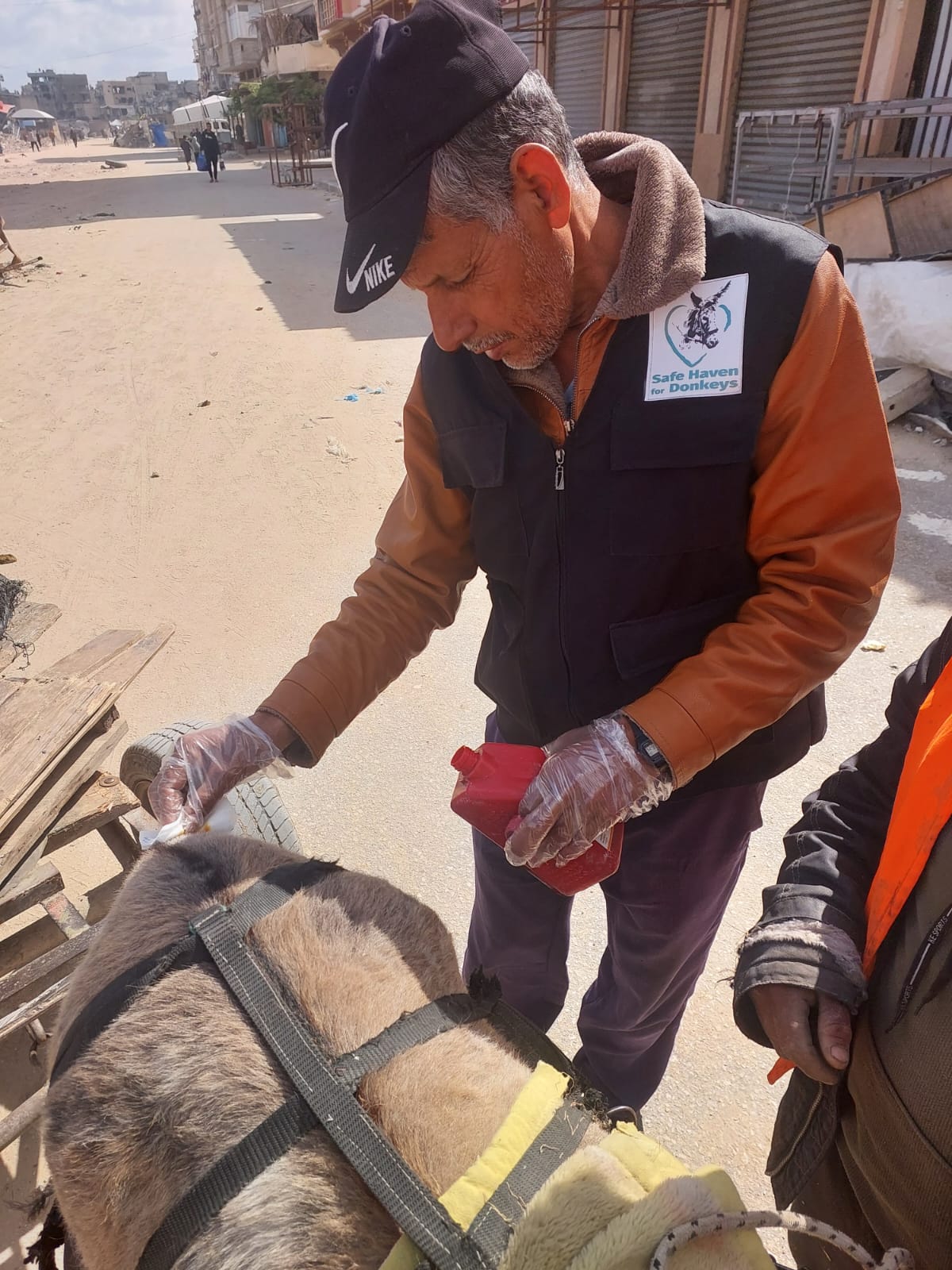 Our donkey update – 24th April 2025
