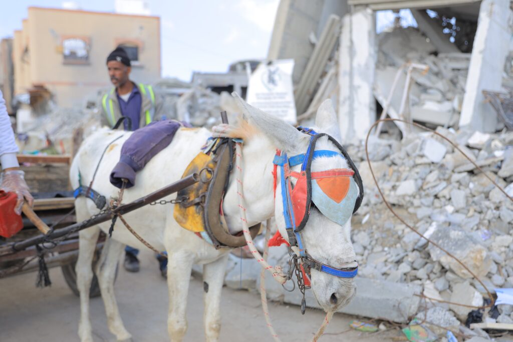 Just 400 meters from armed vehicles, with explosions in the distance, our team is risking everything to care for donkeys no one else can reach.