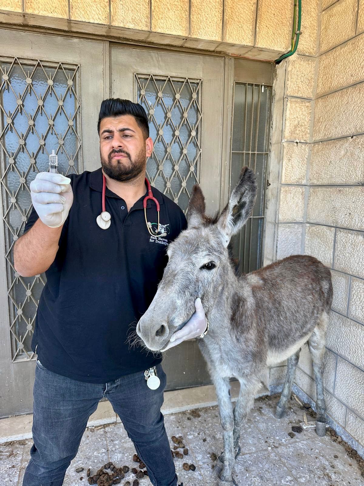 Our donkey update – 29th May 2025