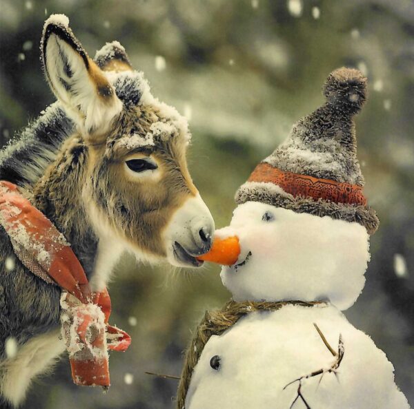 Christmas Cards - Tasty Snack