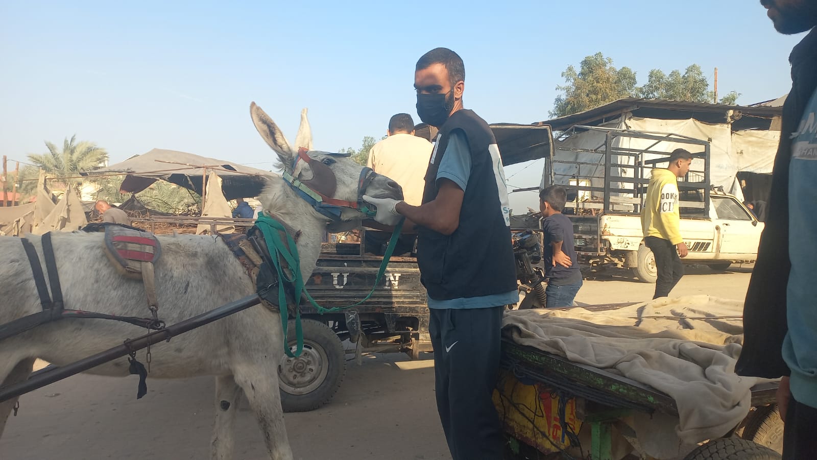 Our donkey update – 4th December 2025