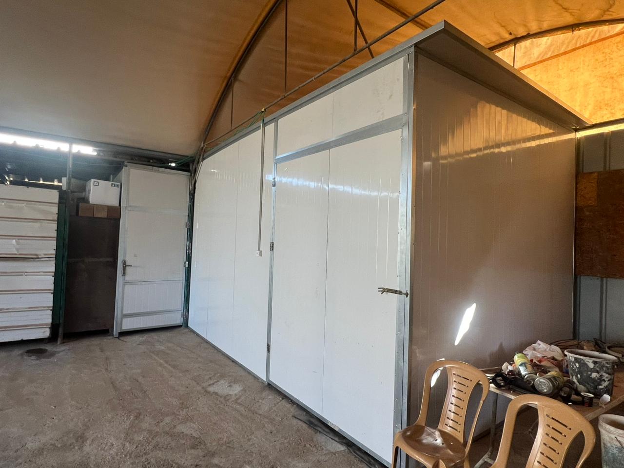 Our donkey update – 8th January 2026