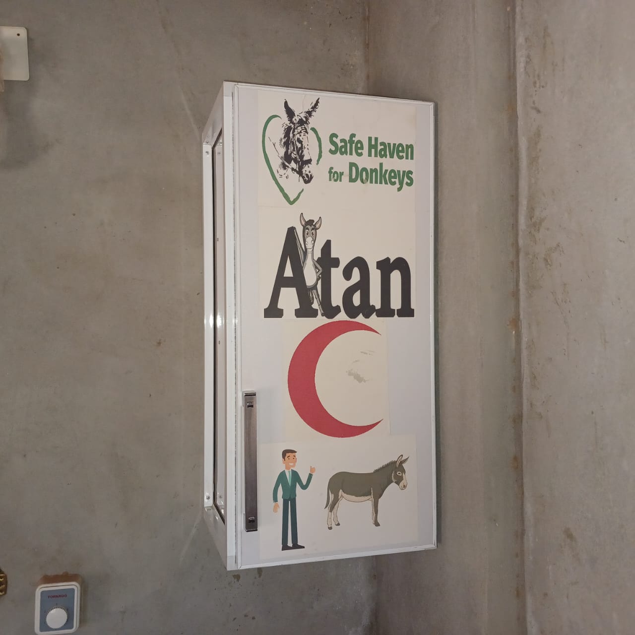 Our donkey update – 30th April 2026