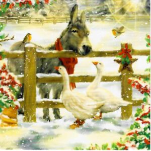 Christmas Cards Feathered Friends