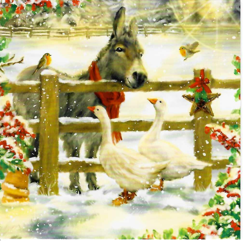 Christmas Cards Feathered Friends