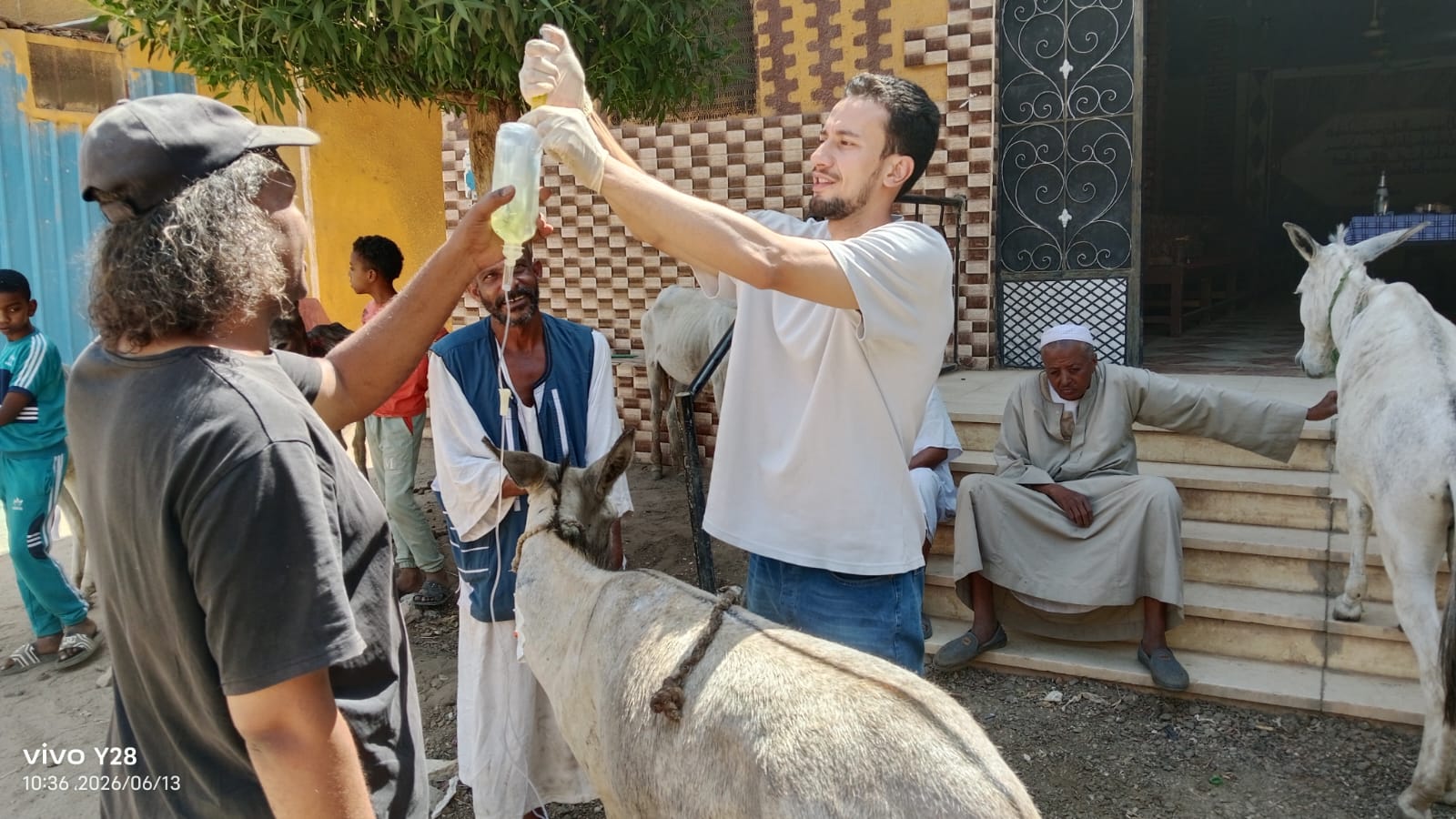 Our donkey update – 25th June 2026