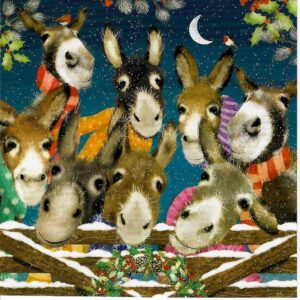 Christmas Cards - Snug in Scarves