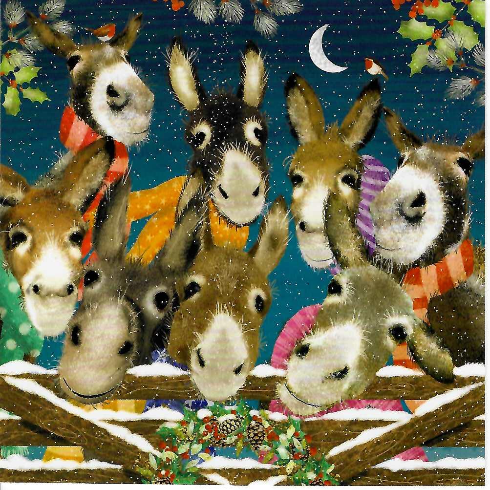 Christmas Cards – Snug in Scarves