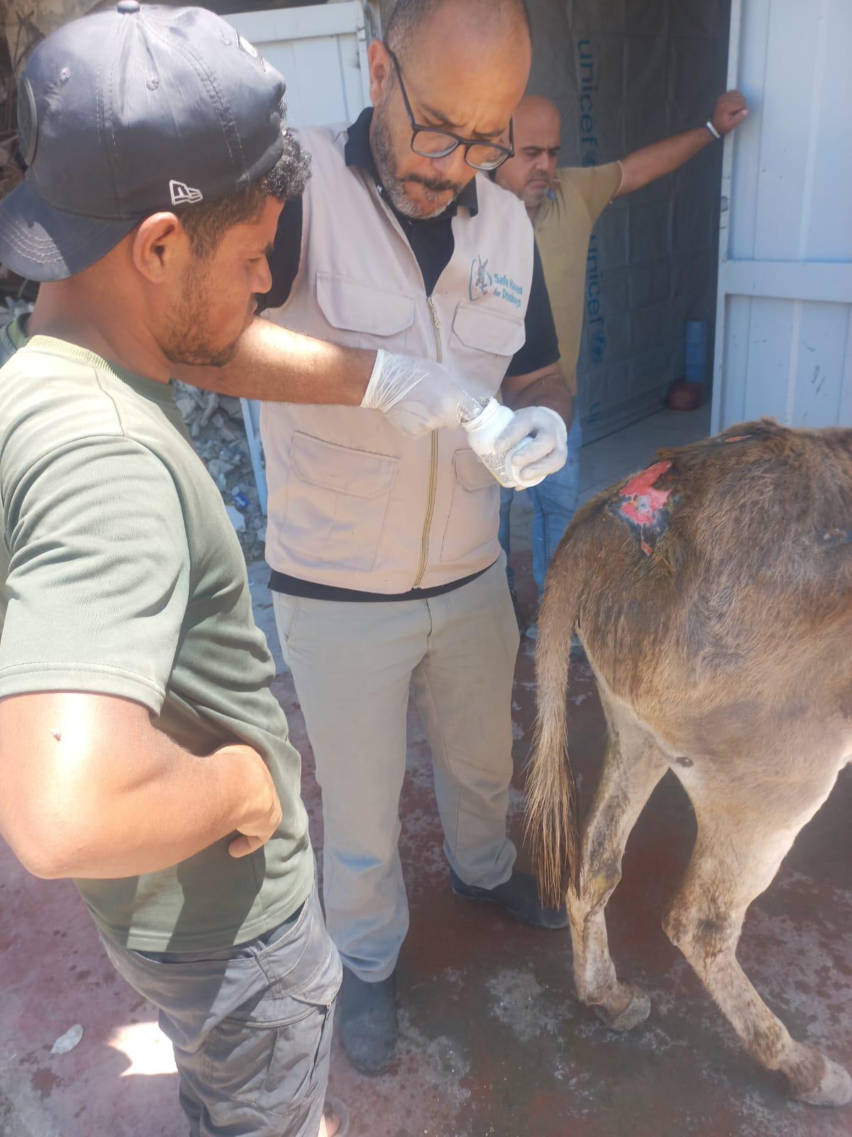 Meet Dr Ahmed and our new Gaza team – 20th August 2026