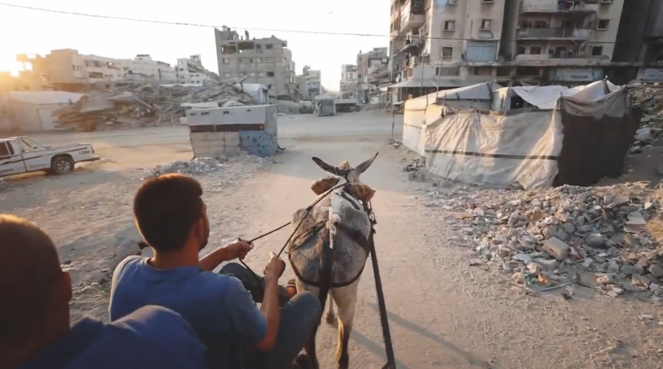 donkey pulling a cart with backdrop of destroyed Gaza building