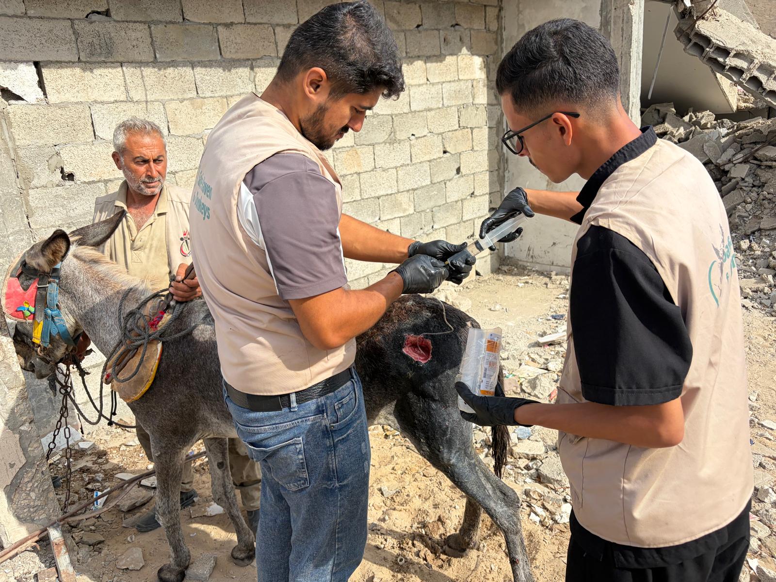 Inside our Gaza vet clinic: the care your kindness makes possible
